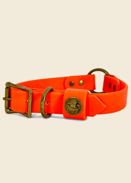 Dog Collar | Orange