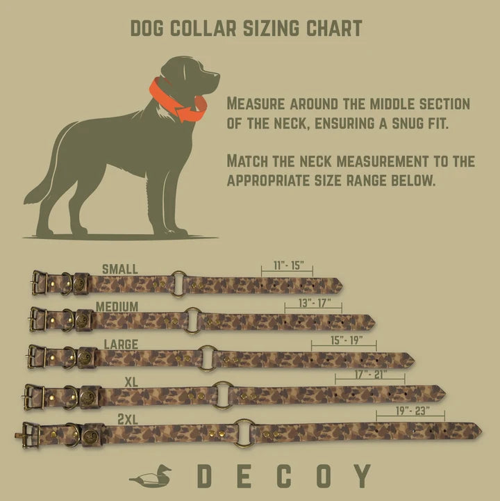 Dog Collar | Orange