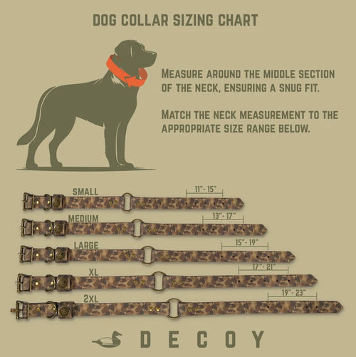 Dog Collar | Orange